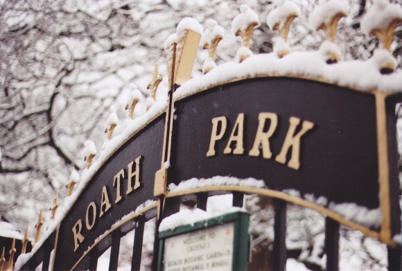 Roath Park gate